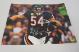 Brian Urlacher Chicago Bears signed autographed 11x14 photo CAS COA