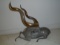 Solid Bronze Spiral-Horned Antelope laying statue.