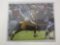 Clay Matthews Green Bay Packers signed autographed 8x10 photo Certified Coa