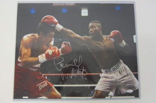 Pernell Whitaker boxing signed autographed 16x20 color photo Certified COA
