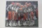 Cleveland Browns Legends multi signed autographed 16x20 Photo Certified Coa