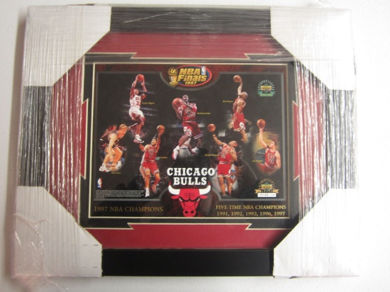 Chicago Bulls NBA Championship Upper Deck Framed Limitied Edition 8x10 Photo #3145/5000