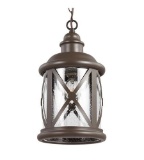 Sea Gull Lighting 6221401-71 - Lakeview 1 Light Outdoor Pendant in Clear Seeded Glass.