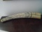 HAND CARVED NAUTICAL HORN