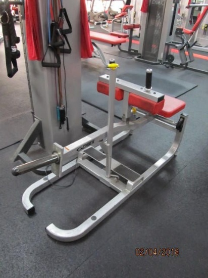 Cybex Seated Calf Station