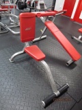 Cybex Utility Bench