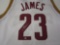 LeBron James Cleveland Cavaliers Signed Autographed Basketball Jersey Certified CoA