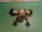 Little Wally Silver/Grey and black frog Bronze Sculpture