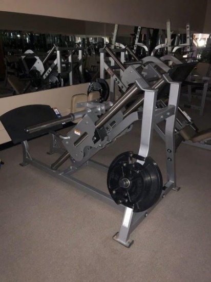 Life Fitness Calf Machine / Leg Press W/ Weight Tree