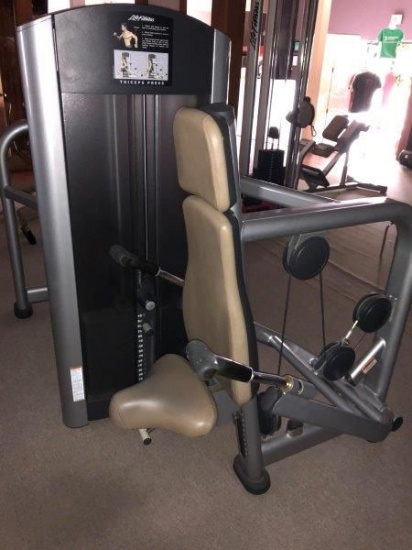 Commercial Life Fitness Triceps Press