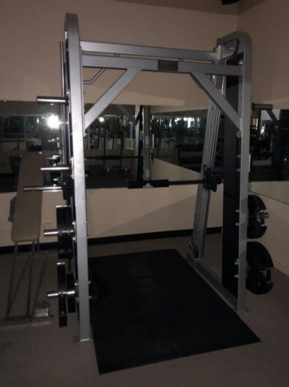 Life Fitness Squat Rack W/ (1) Olympic Style Bar & Weight Tree