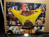 HULK HOGAN SIGNED 8X10 MOUNTED MEMORIES COA