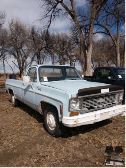 1973 Chevy C20 V8 - 350, Runs and drives