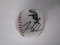 Tim Anderson of the Chicago White Sox signed autographed logo baseball PAAS COA 817