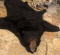 Black Bear Rug