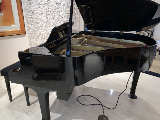 Player Piano by Yahama, Baby Grand, Serial no. G1-J-3894862
