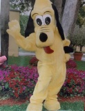 Pluto Costume