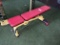 Star Trac Adjustable Bench