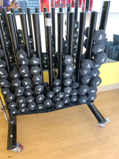 Rolling Portable Weight Rack