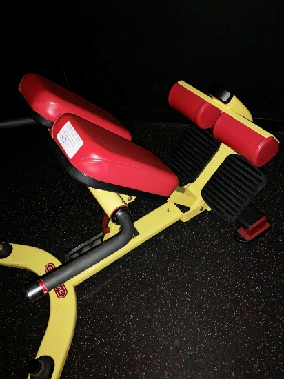 Star Trac Adjustable 45 Degree Back Extension