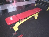 Star Trac Adjustable Bench