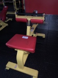 Star Trac Seated Tilted Calf