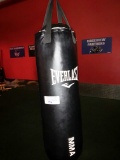 Everlast Heavy Punching Bag