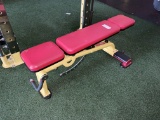 Star Trac Adjustable Bench
