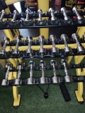 Star Trac Dumbbell Tree with Dumbbells