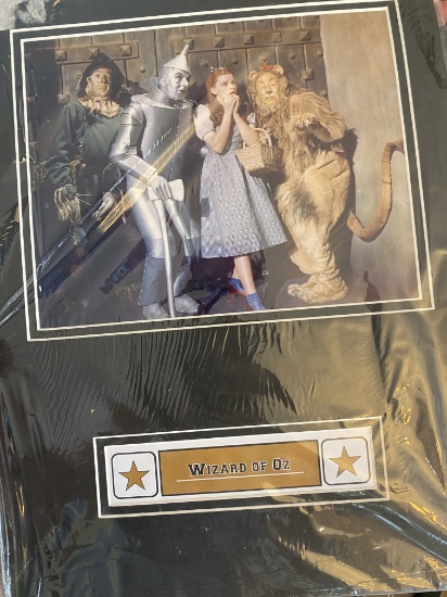 Wizard of Oz Frame