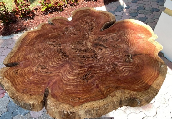 36" Wide x 3" Thick Natural Wood Stump Table Tops
