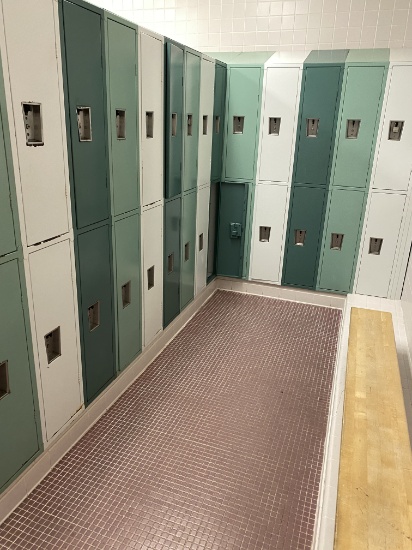 Metal Locker Room Lockers (two color)