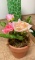 Small Artificial Flower in Pot