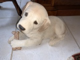 Ceramic Dog Holding His Treat