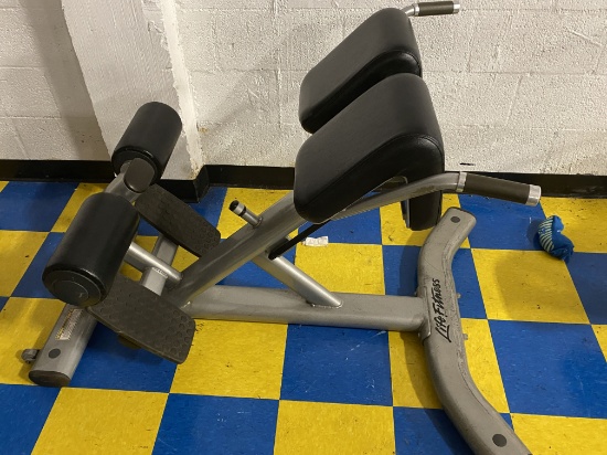 Life Fitness Back Extension Bench