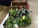 Lot of Colorful Artificial Plants
