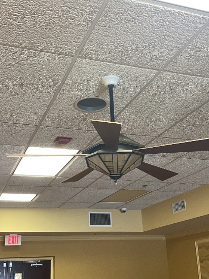 Decorative Five Blade Ceiling Fans with Decorative Light