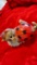 Ceramic Lady Bug Cat #0062