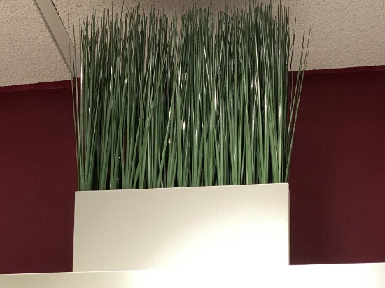 11" Long Wheatgrass Displays