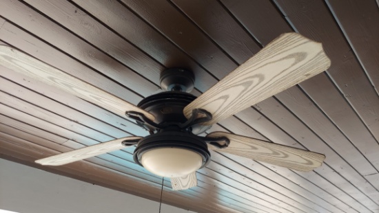 Four Blade Decorative Outdoor Ceiling Fans, With Light