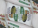 Alberto Pinto Beans on 50 LB Bags