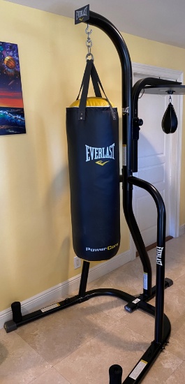 Everlast Boxing Stand. Has Heavy Bag And Speed Bag. Adjustable Heights. All-In-One