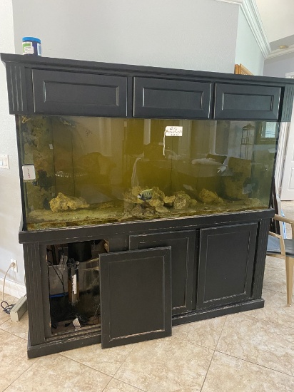 Salt Fish Aquarium