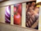 Large Vegetable Pictures