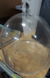 Glass Dome