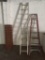 Louisville extension Ladder
