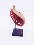 Antique African Horn Bill Crest