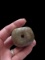 Monumental Pre-Columbian Jade Bead