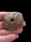 Pre-Columbian Mayan Jade Bead Inscribed
