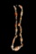 Pre-Columbian Spondylus Necklace
